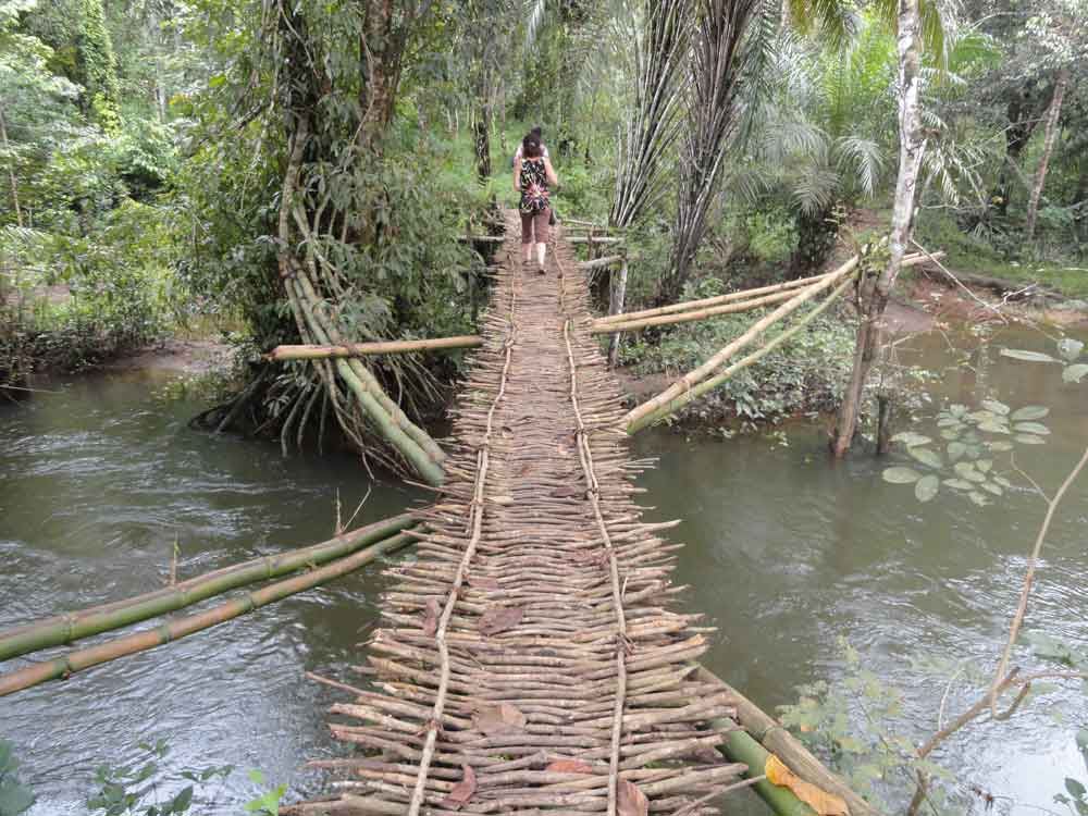 Pont traditionnel à l'entrée du village en Guinée