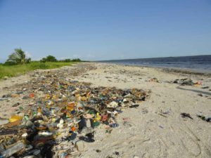 Santé et environnement en Guinée