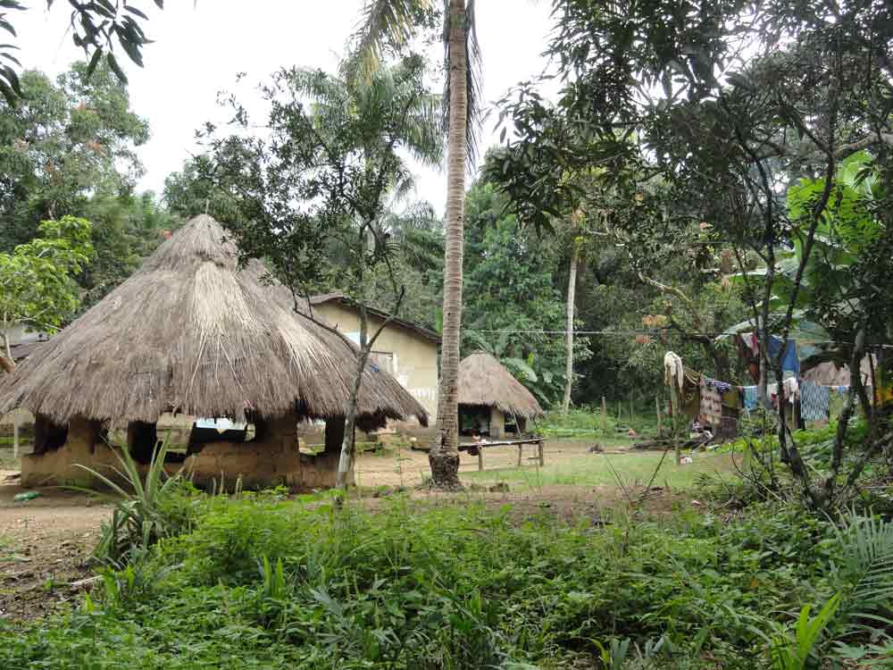Pont traditionnel à l'entrée du village en Guinée