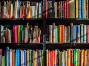 Lire la suite à propos de l’article Premier voyage en Guinée : Nos premiers pas vers la solidarité avec une distribution de livres